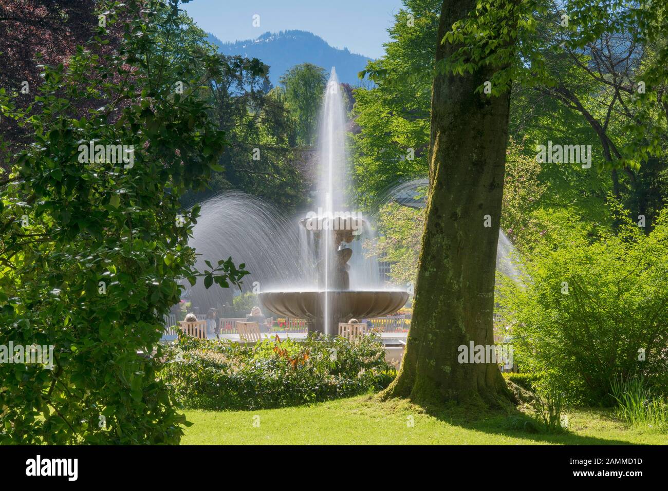 Bad respiratory system hi-res stock photography and images - Alamy