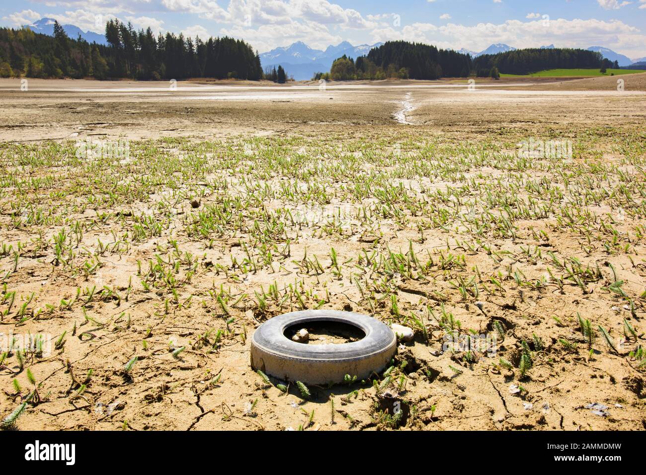 Drought and lack of water in the Forggensee near Füssen [automated translation] Stock Photo