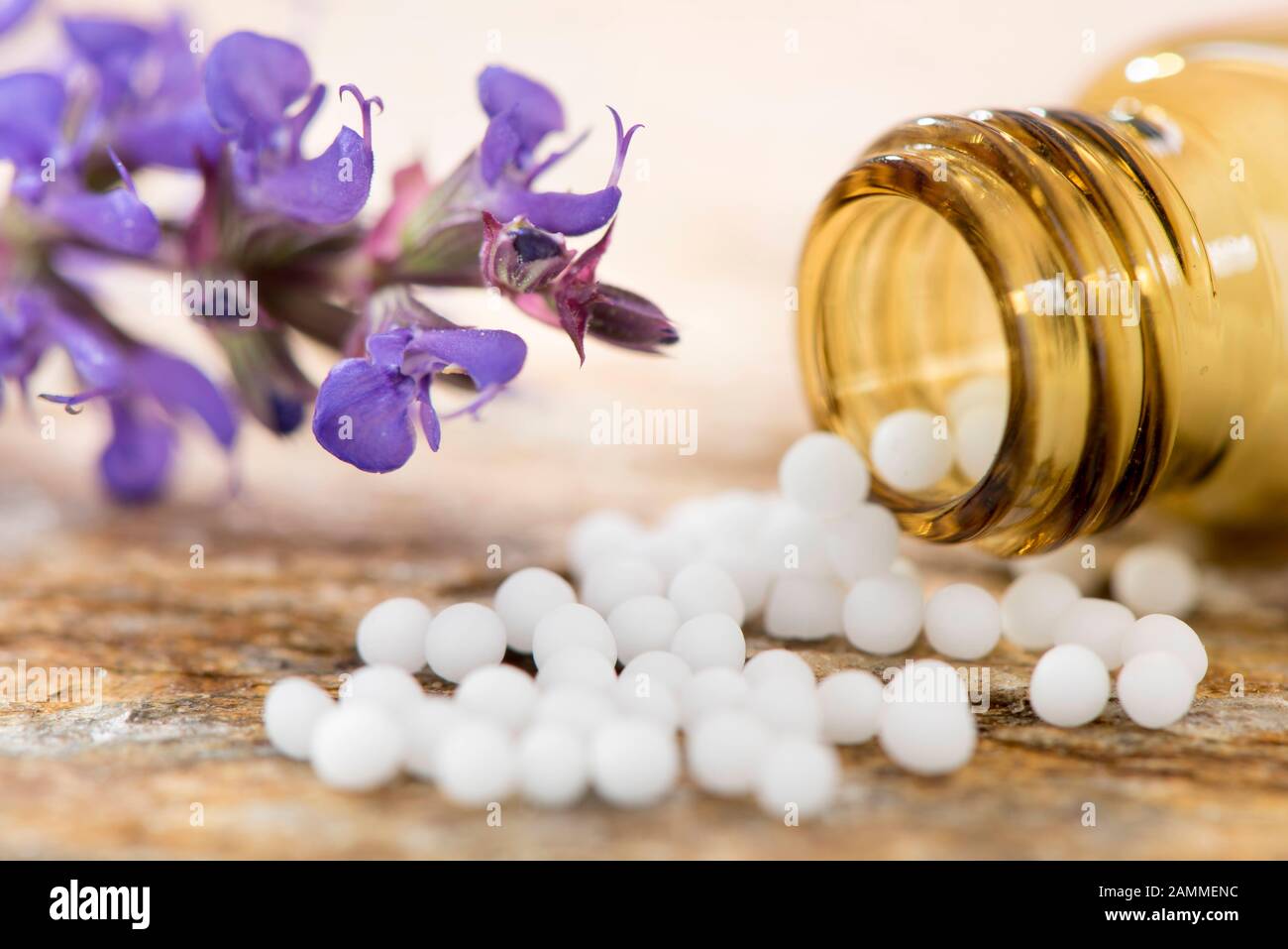 Homeopathy and Bach Flower Globules [automated translation] Stock Photo