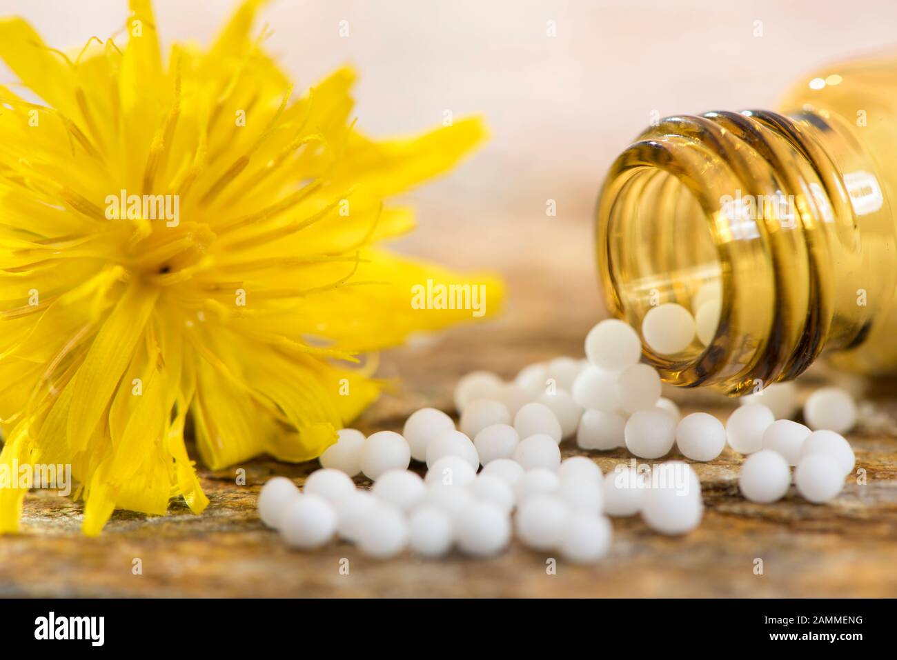 Homeopathy and Bach Flower Globules [automated translation] Stock Photo