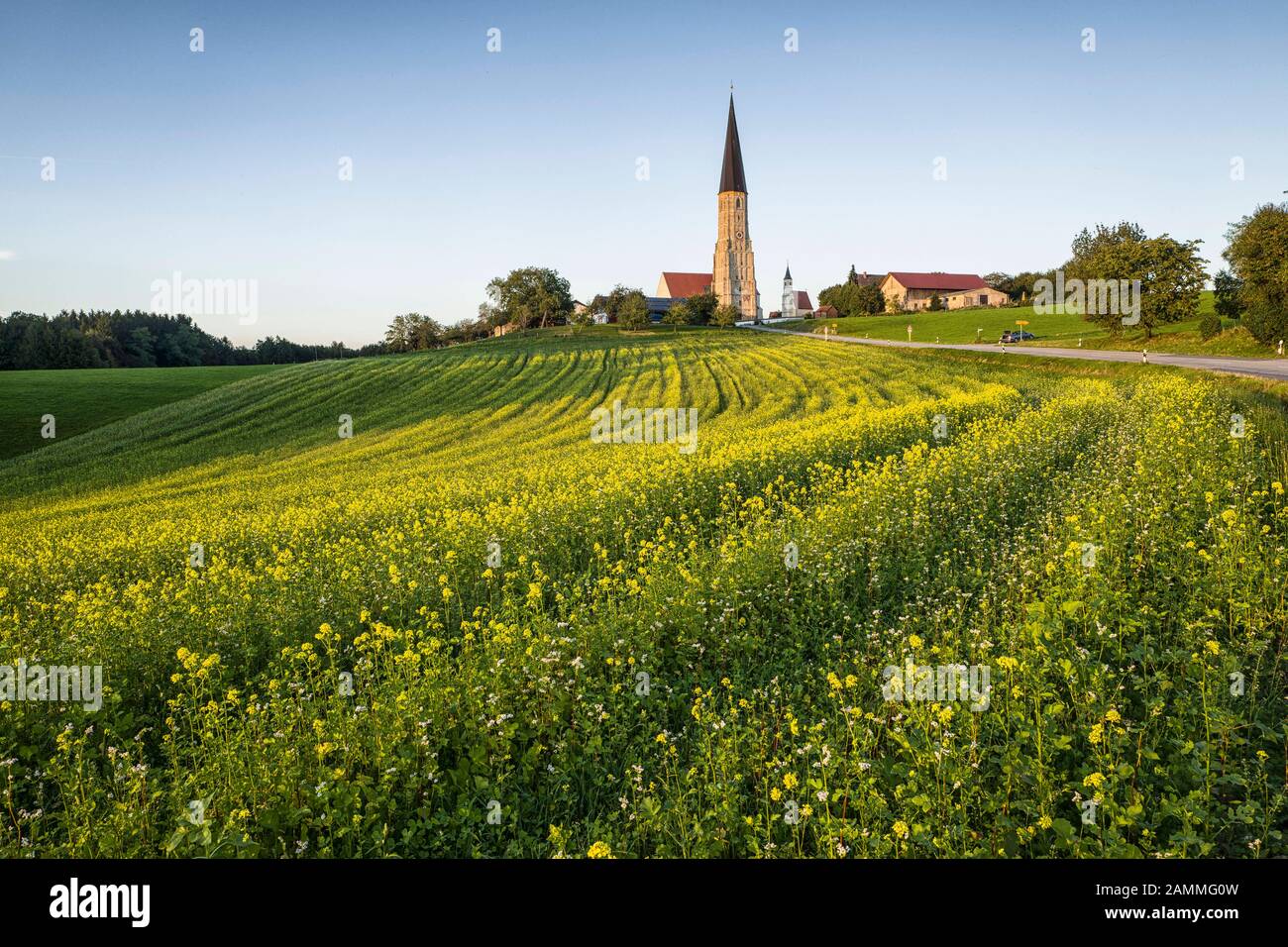 The gothic pilgrimage church in Schildthurn in Rottal, Lower Bavaria ...