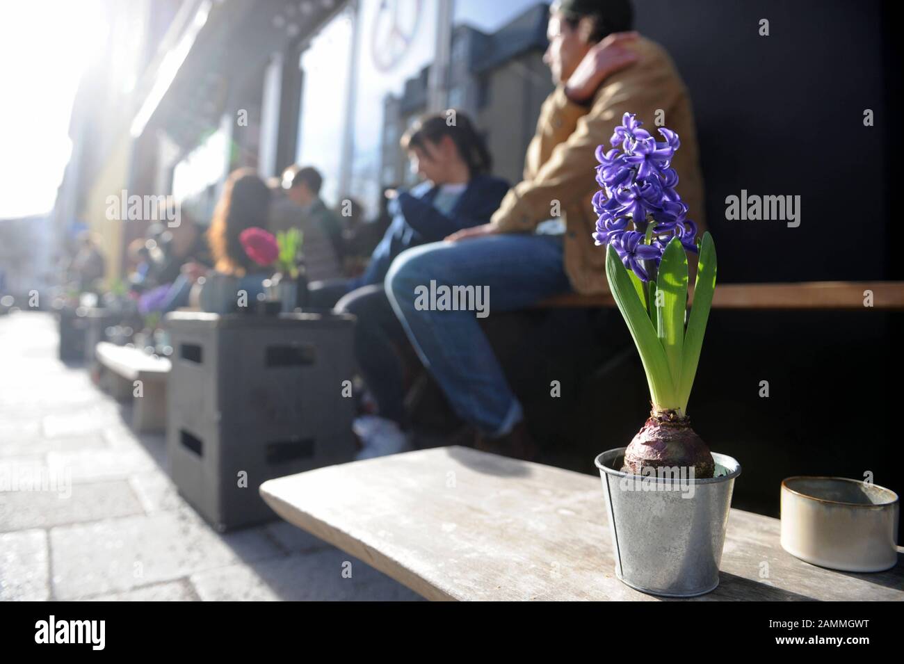On a mild winter day, guests sit outside in front of the 'Aroma Kaffeebar' on Pestalozzistraße in the Glockenbach district. [automated translation] Stock Photo