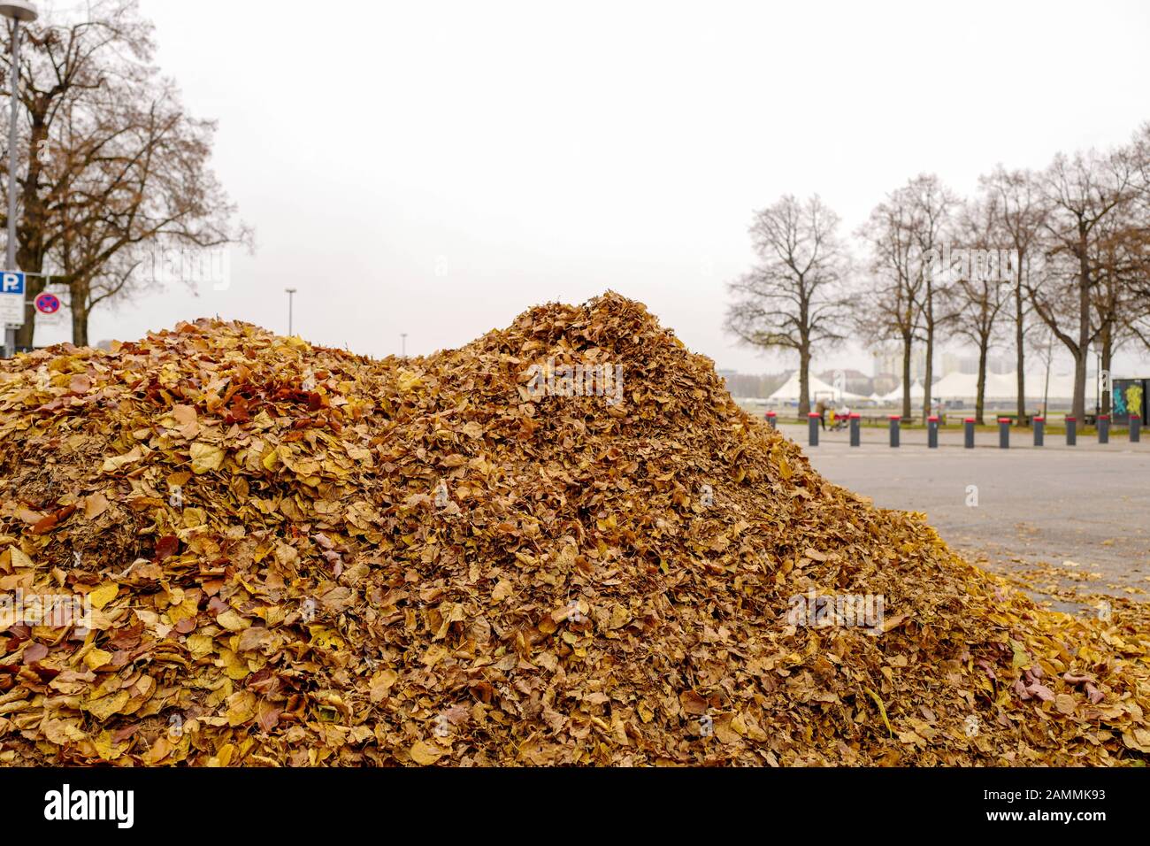 Autumn atmosphere at the Theresienwiese in Munich: The city must sweep up large quantities of autumn leaves. [automated translation] Stock Photo
