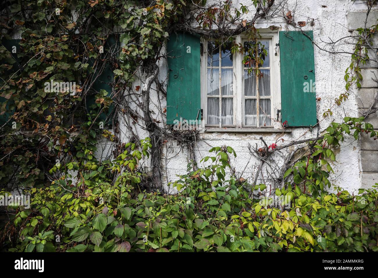 Old, overgrown estate at Schmidbergstraße 2 in Thalhausen. [automated translation] Stock Photo