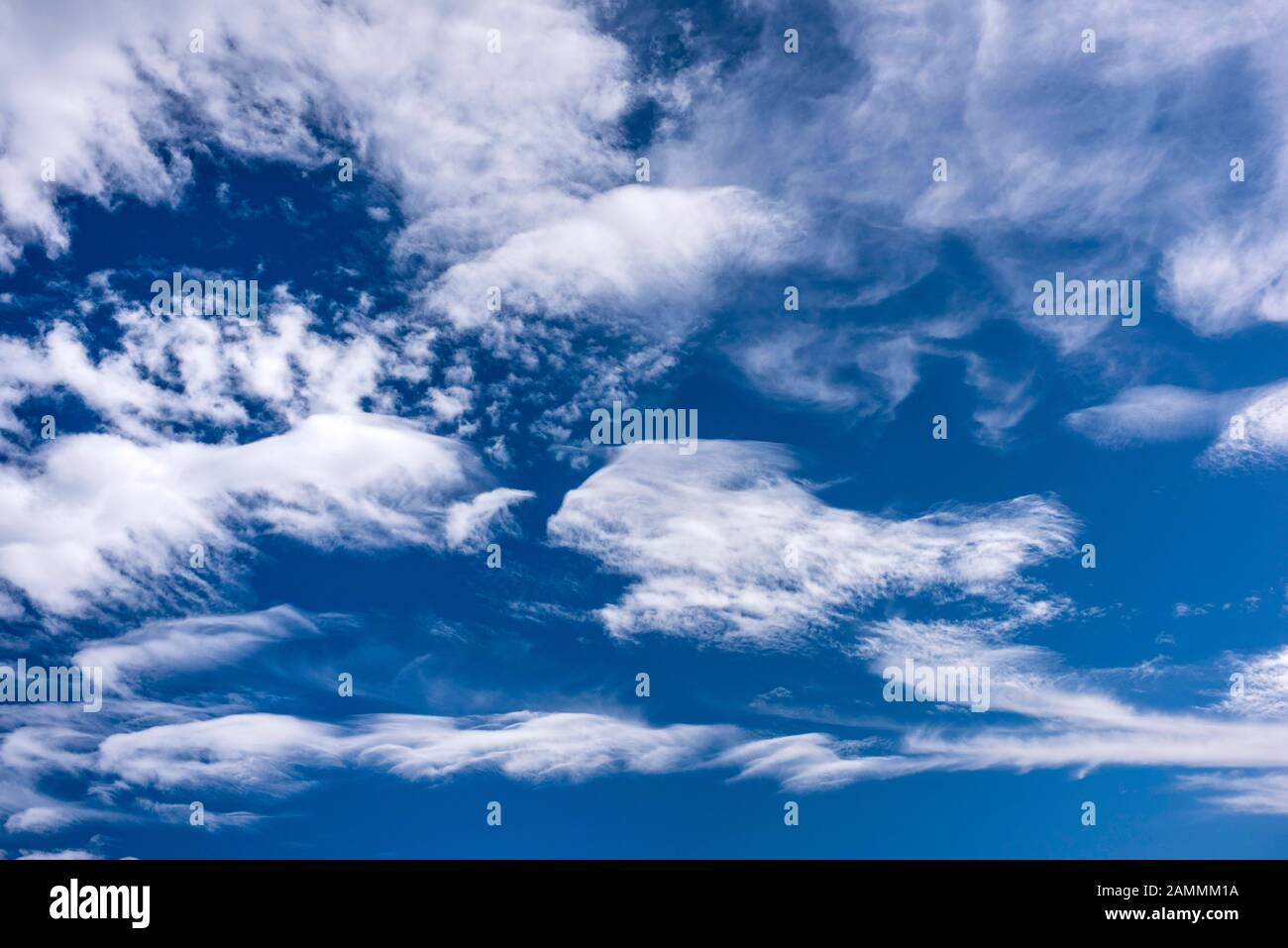 Fair weather Cumulus cloud before blue sky [automated translation] Stock Photo