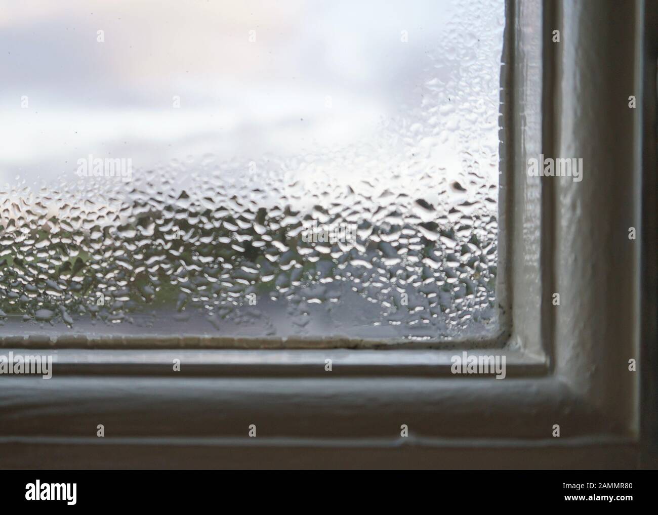 Condensation on a window pane Stock Photo Alamy