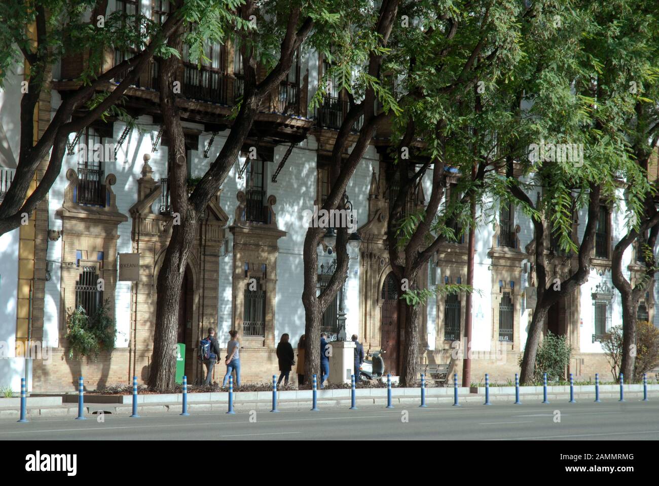 Facades of houses and trees in the winter sun, Granada, Andalusia, Spain. Stock Photo