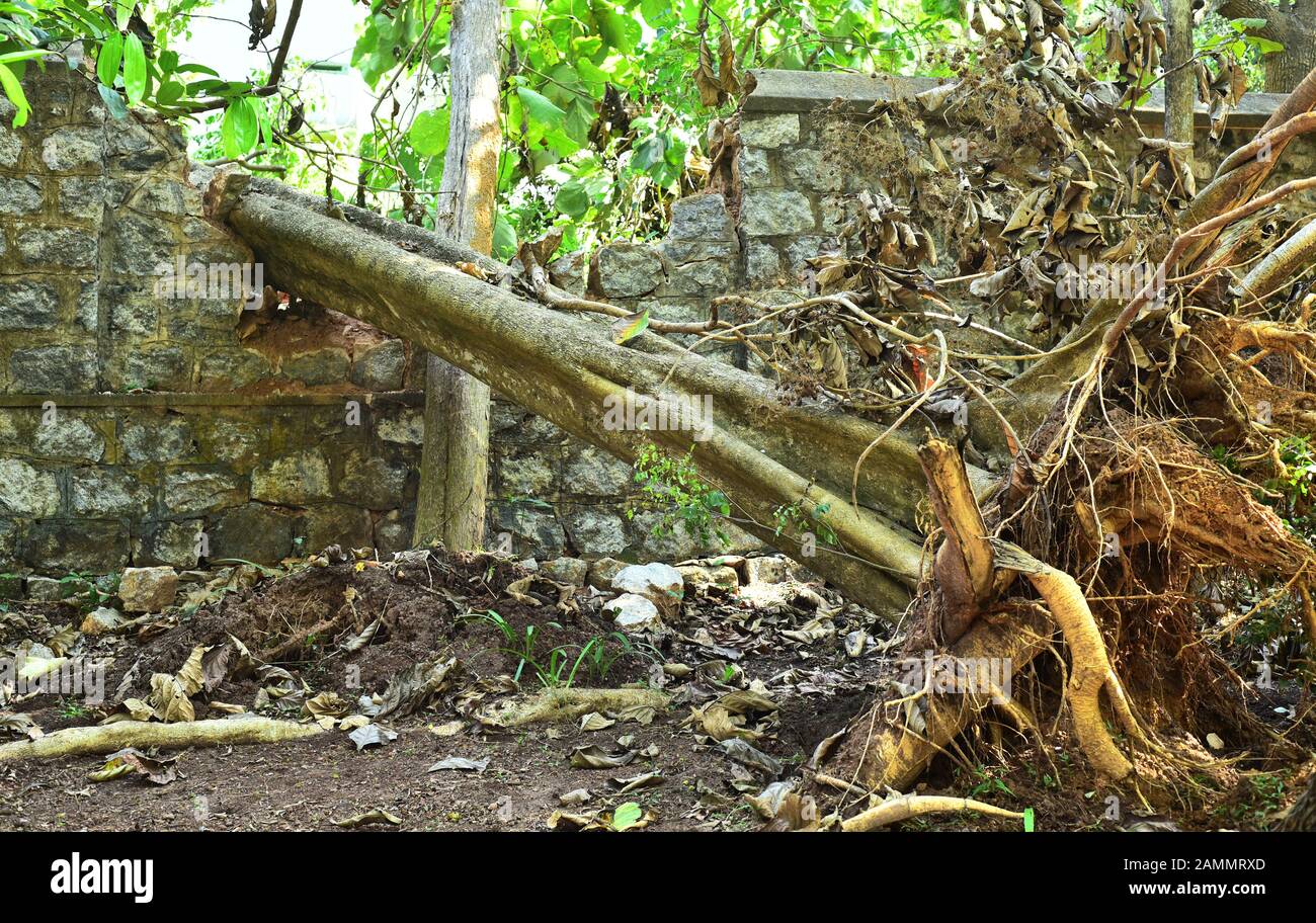 Compound wall hires stock photography and images Alamy