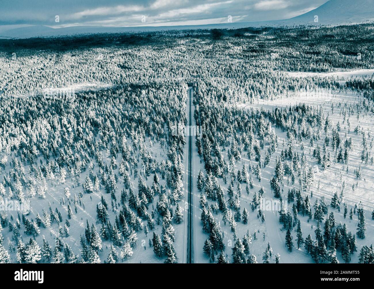 Winter Drone Shot with Road and Trees Stock Photo