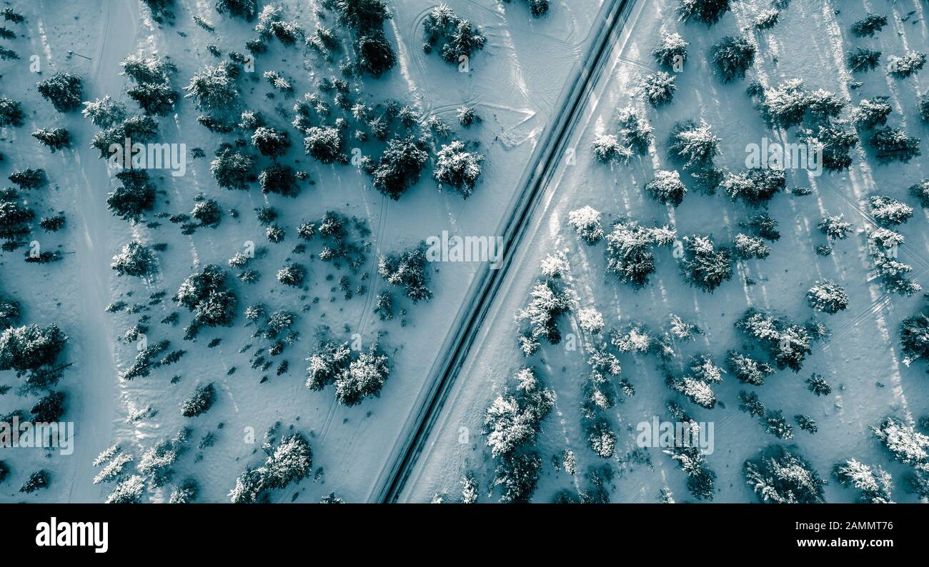 Winter Drone Shot with Road and Trees Stock Photo