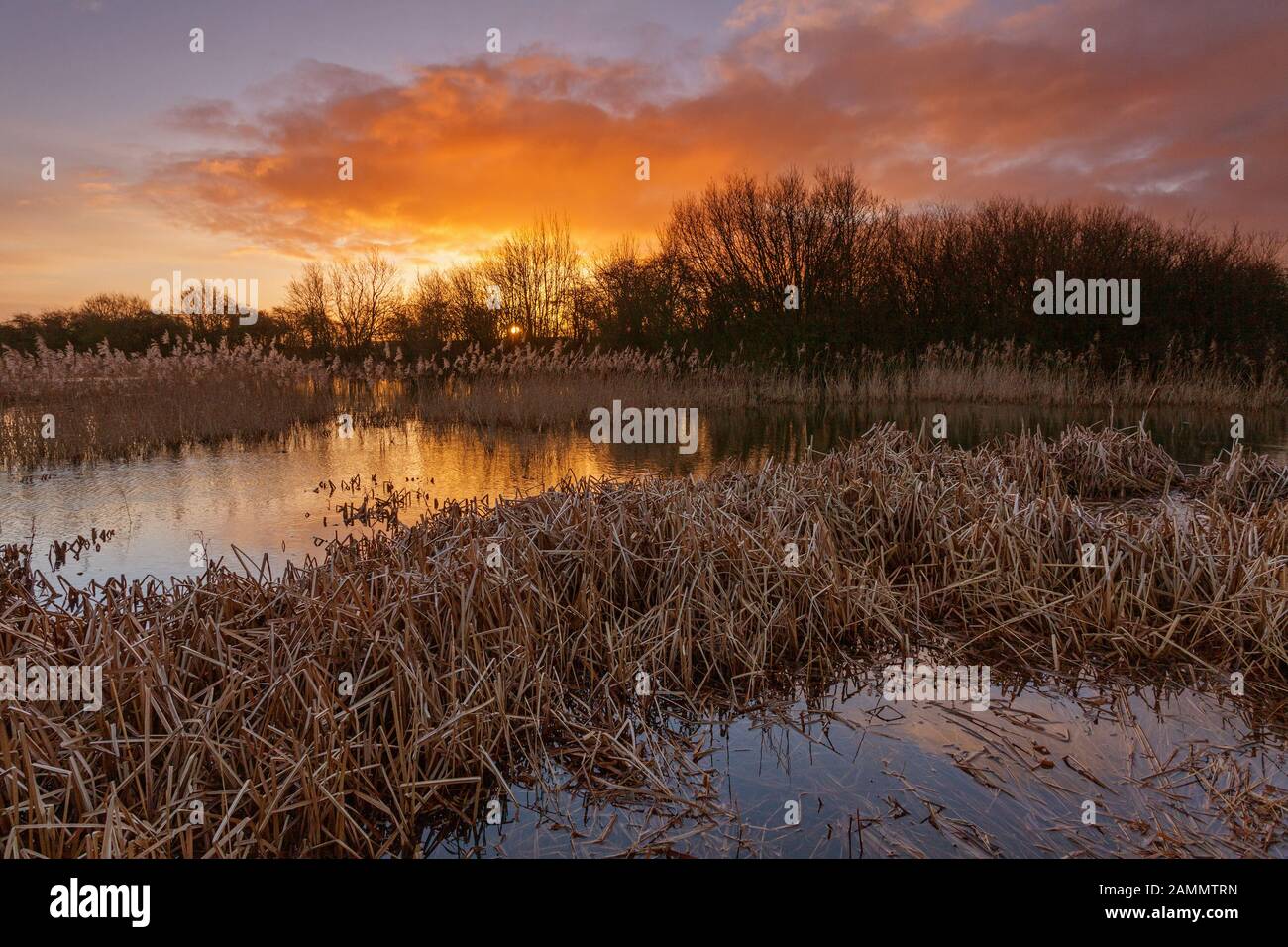 Barton-upon-Humber, North Lincolnshire, UK. 14th January 2020. UK Weather: Sunrise at a nature reserve on a windy Winter morning. Credit: LEE BEEL/Alamy Live News. Stock Photo