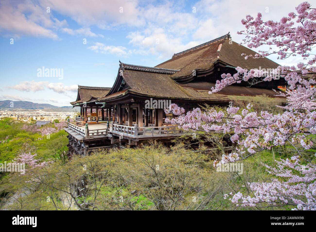 Kiyomizu-dera stage with cherry blossom in Kyoto, Japan Stock Photo