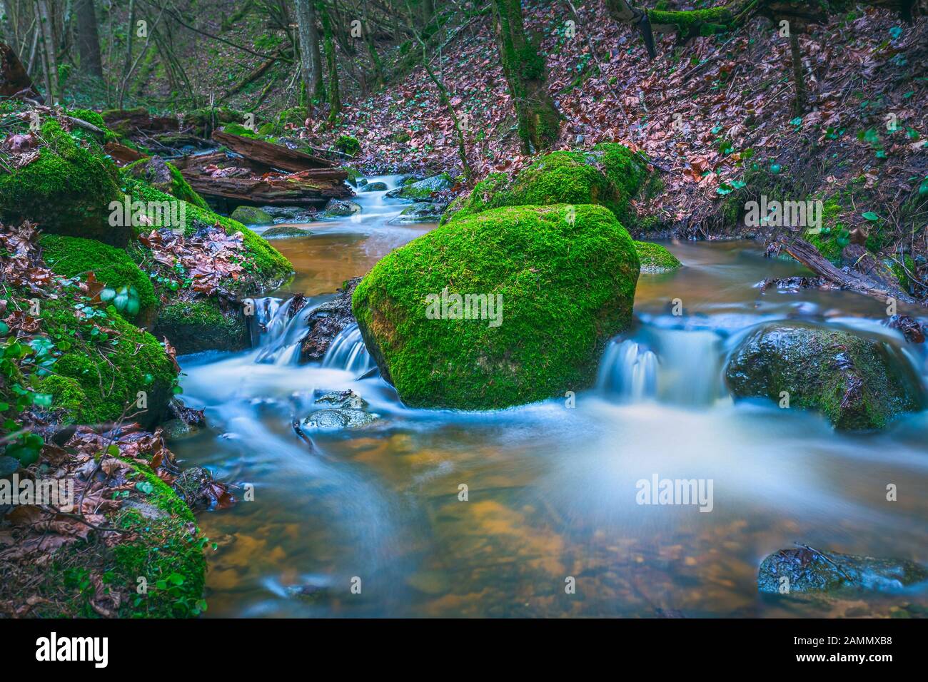 Green landscape with small river in the forests Stock Photo