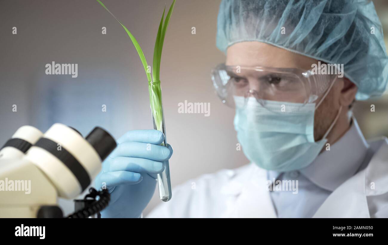Scientist Looking At Plant Made Scientific Breakthrough In Biology