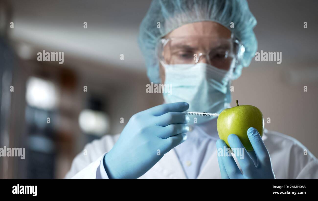 Laboratory worker injecting apple with chemicals, adding smell and