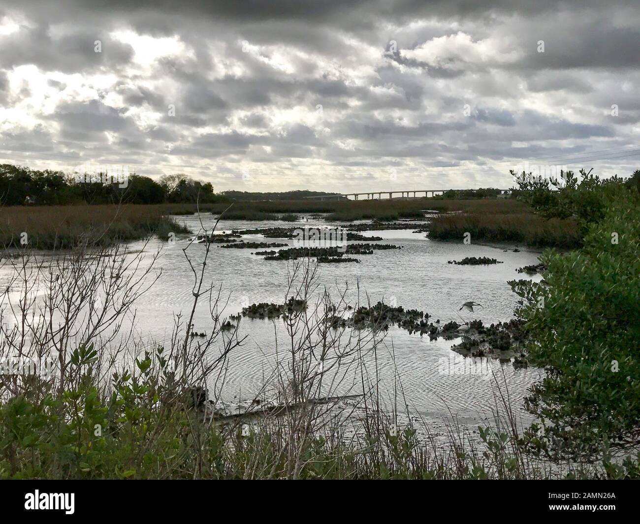 Tidal marsh. St. Augustine, Florida Stock Photo Alamy