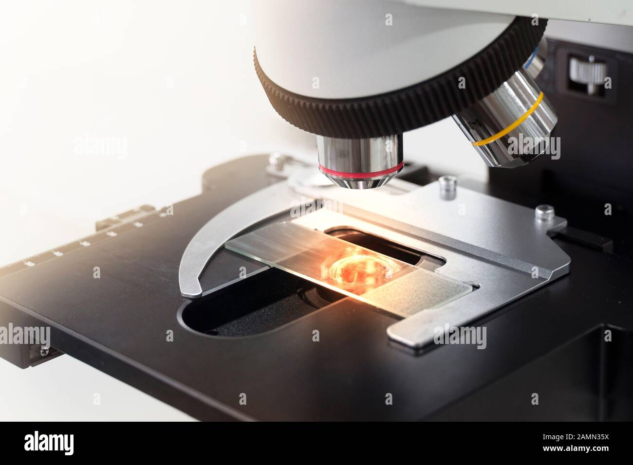 Compound microscope glass slide hi-res stock photography and images - Alamy