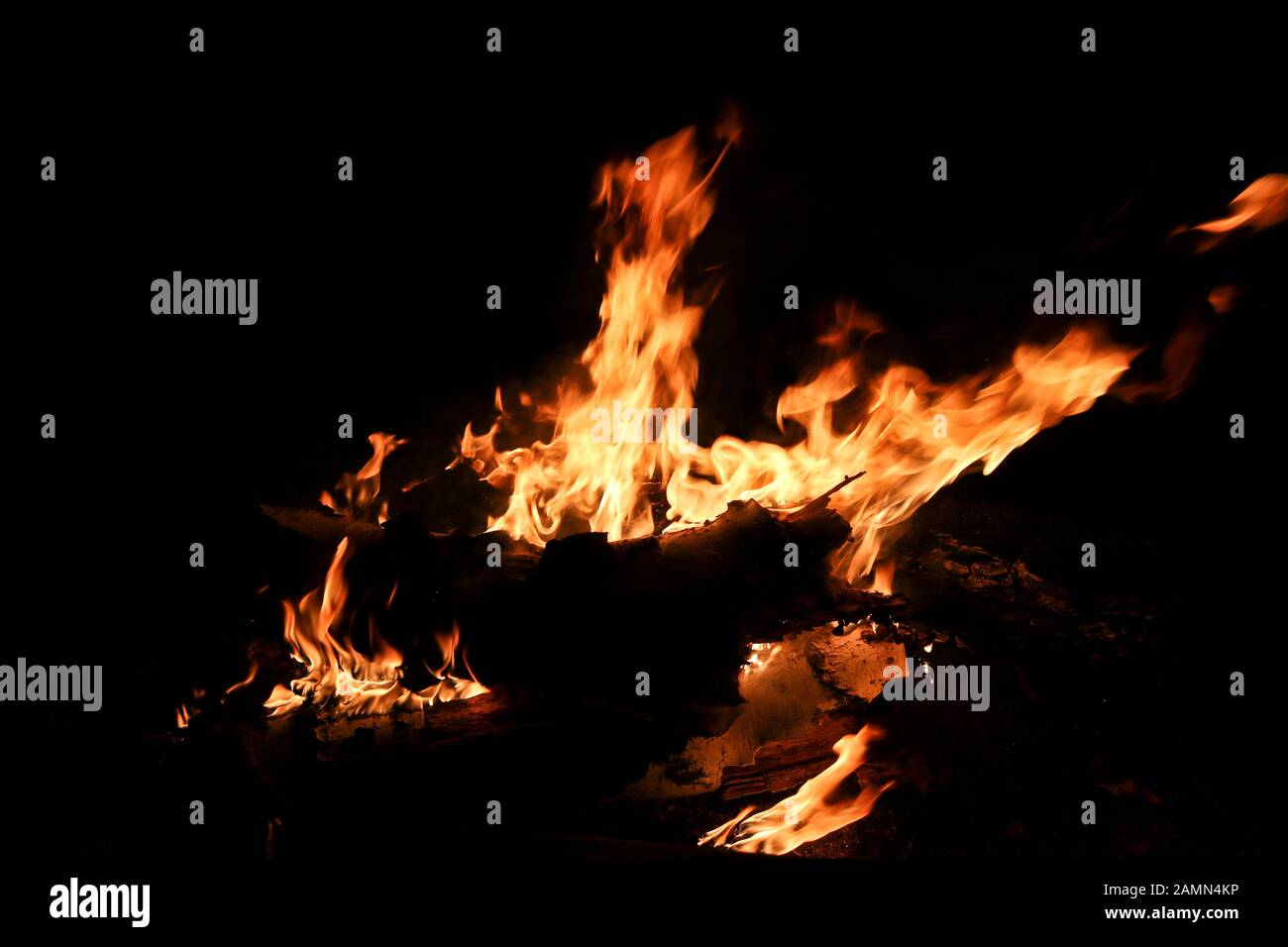 Bonfire fire flame bonfire night. Birch logs burn in a fire. Stock Photo