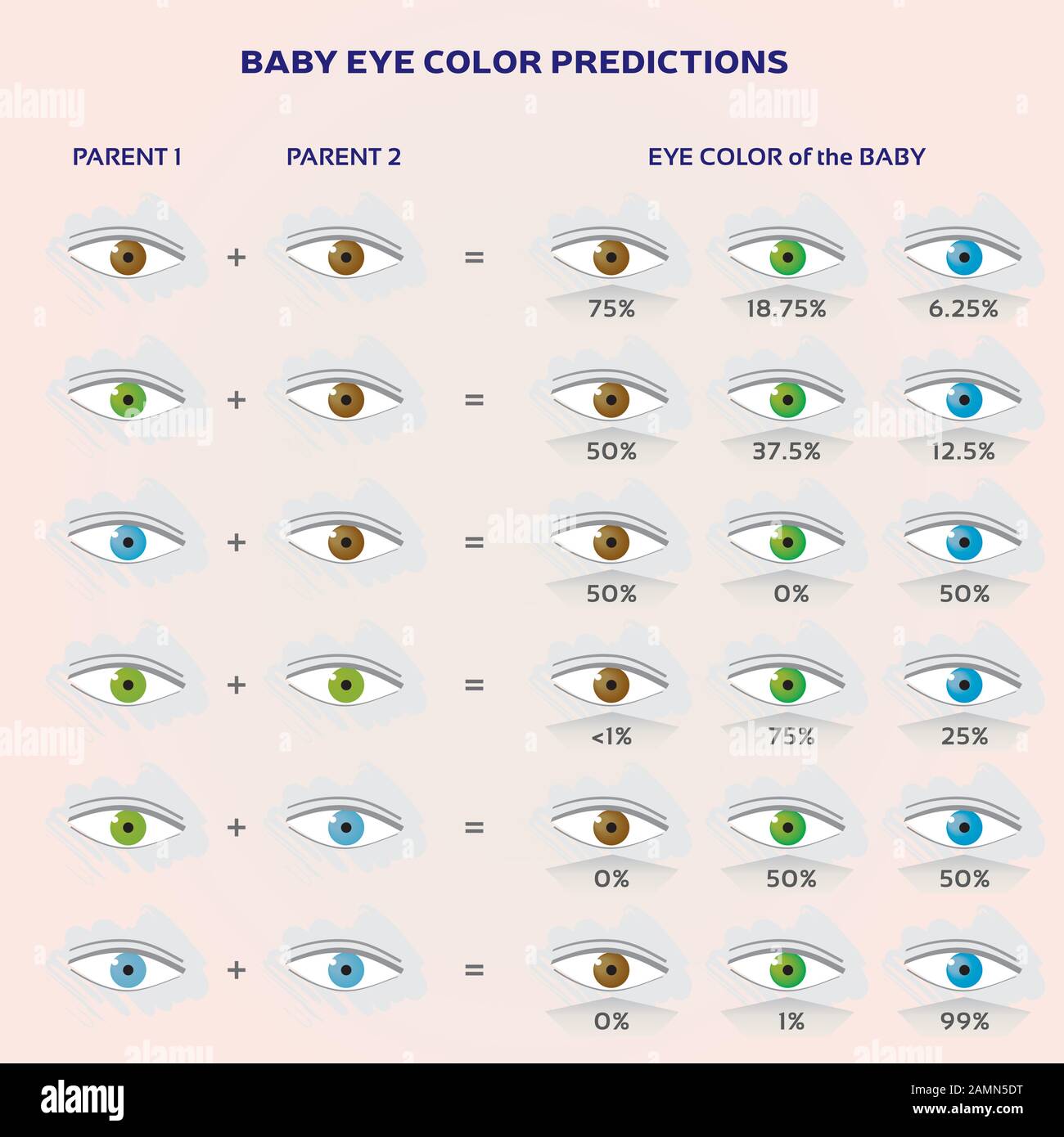 Baby Eye Color Prediction Chart - Icons in Blue, Green and Brown Stock Vector