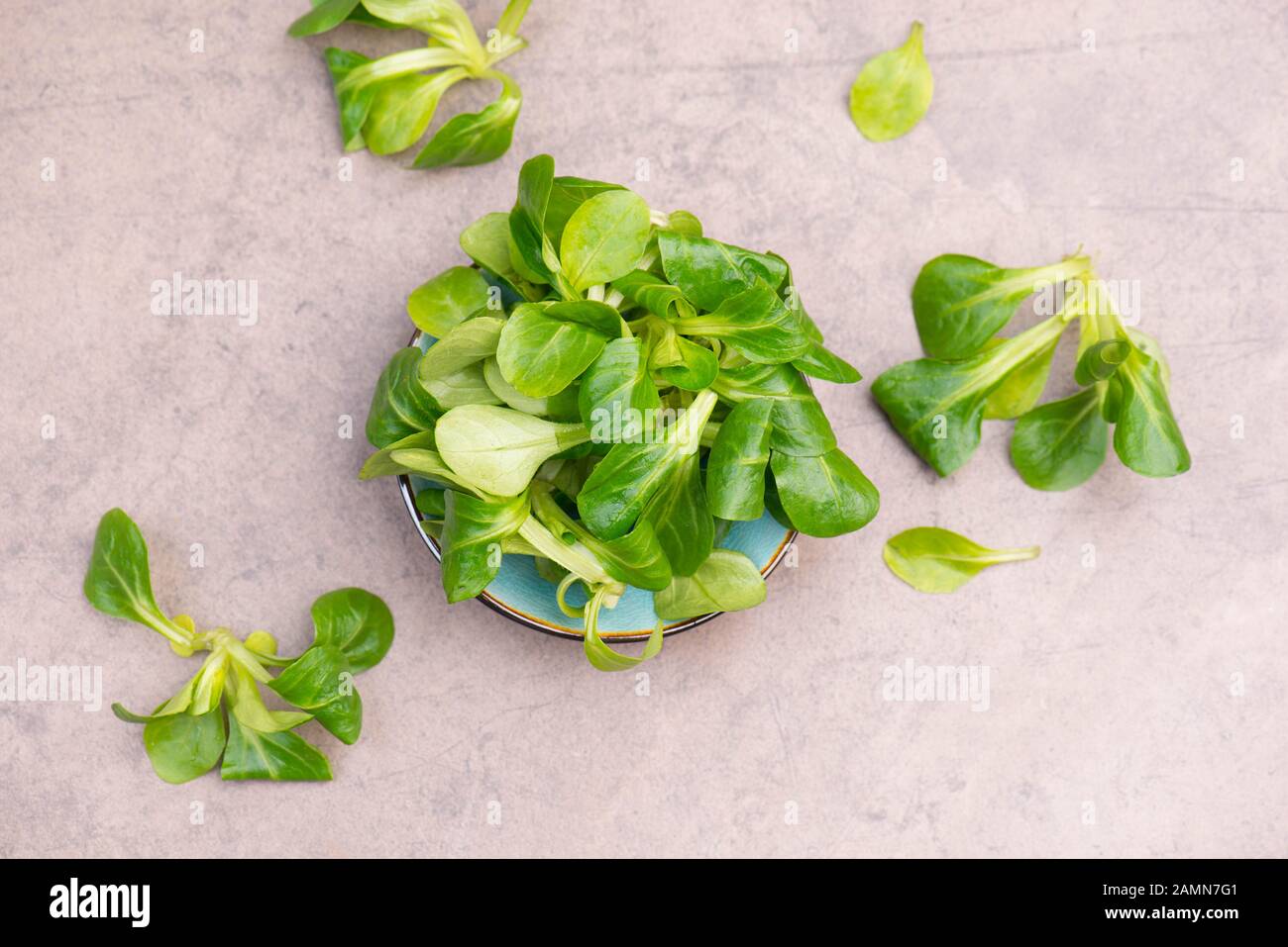 Fresh lambs lettuce on a brown textured background, empty copy space