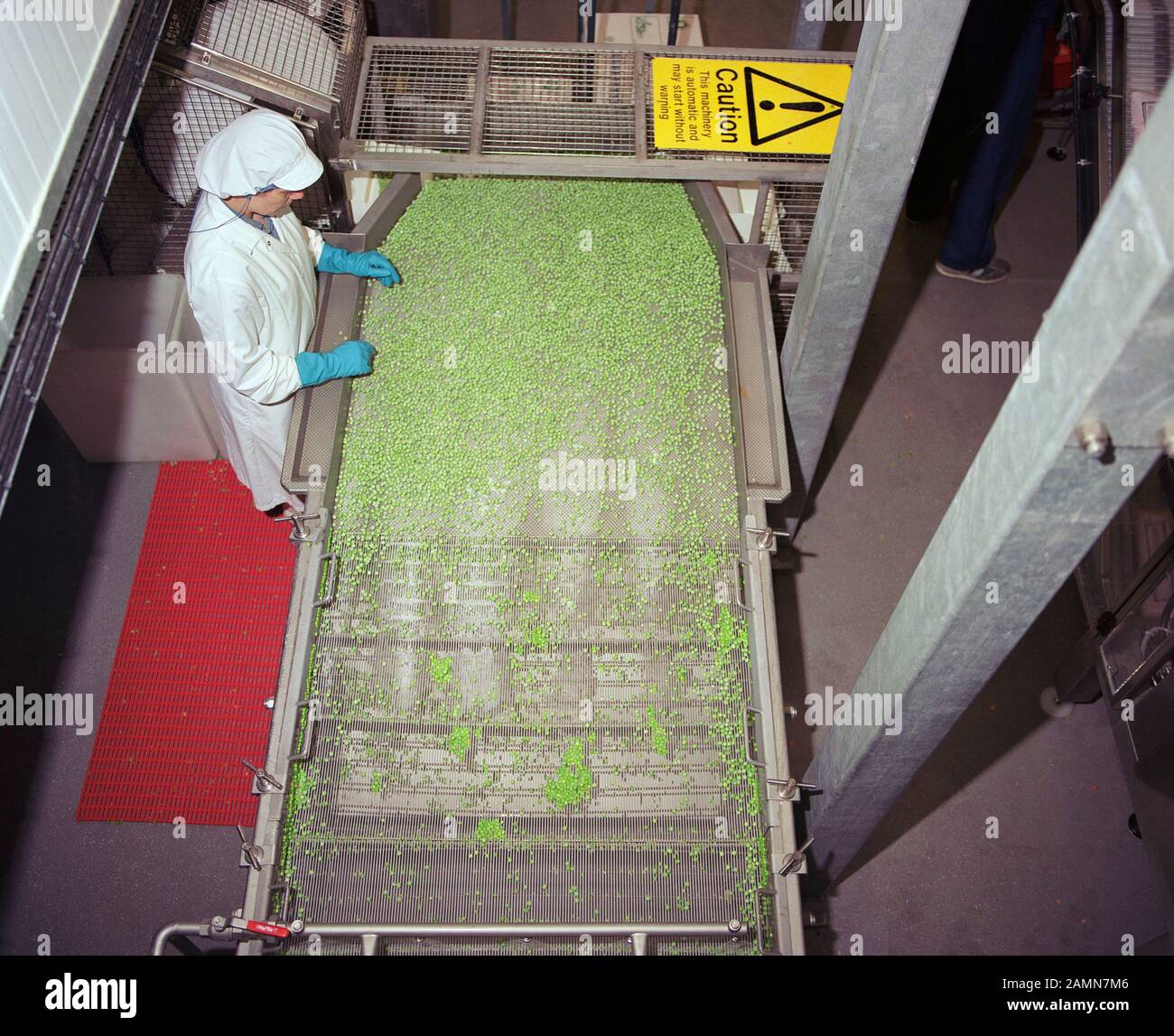 Workers in Bakery in 1994, Wakefield, West Yorkshire, Northern England