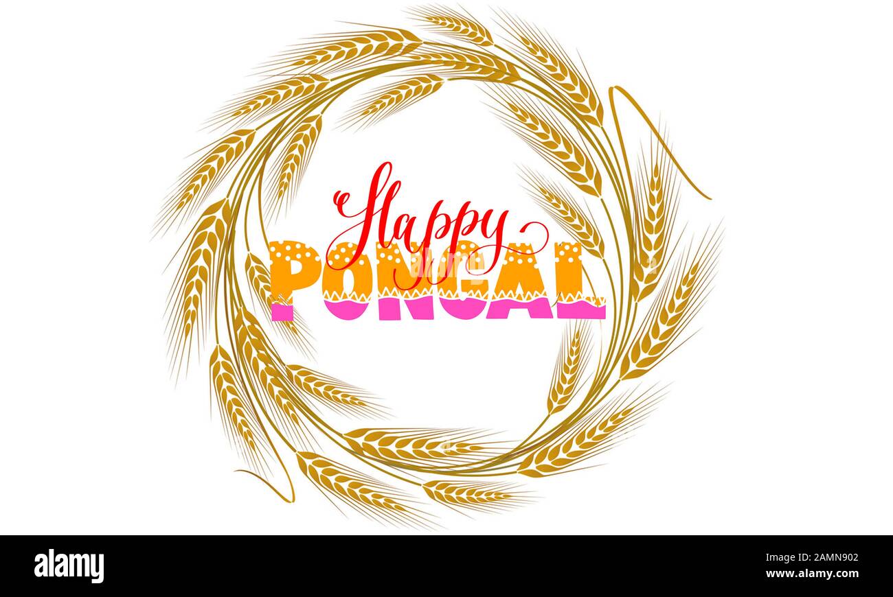 Happy Pongal Lettering Text For Greeting Card Design Illustration