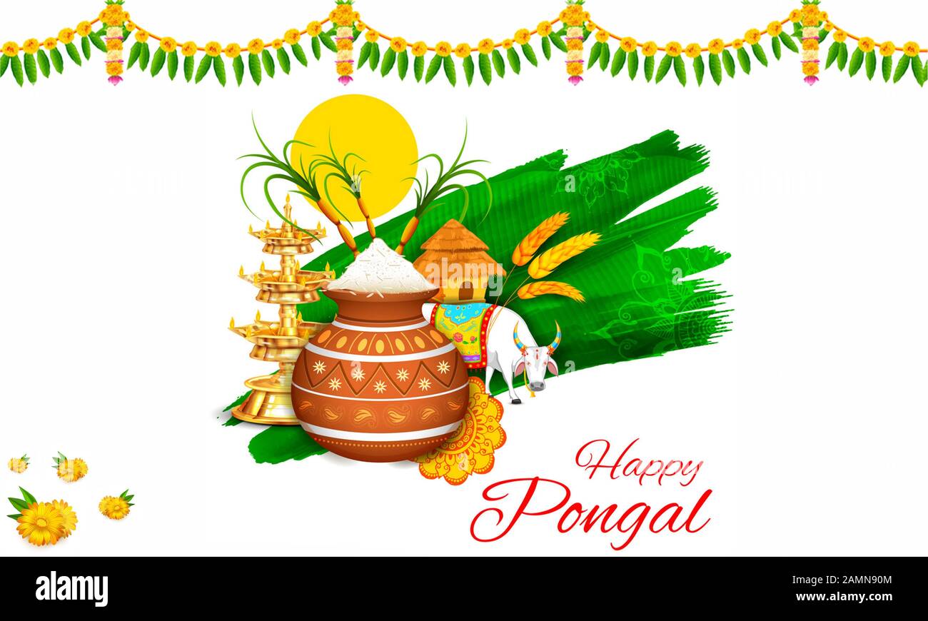 Happy Pongal Lettering Text For Greeting Card Design Illustration Pongal Festival Of Tamil Nadu India Celebration Banner Isolated On White Background Stock Photo Alamy
