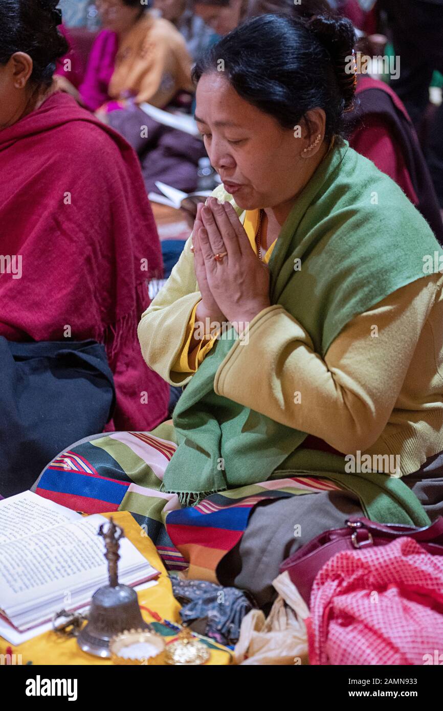 A devout Buddhist woman praying and meditating while seated with her hands clasped. At a temple in Queens, New York City. Stock Photo