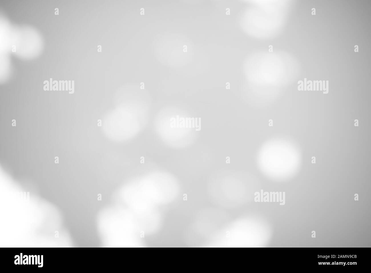 Organic drop shadow on a white wall Stock Photo - Alamy