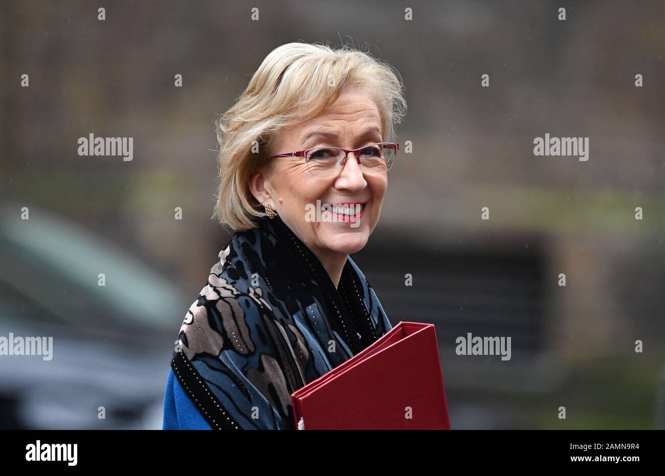 Downing Street, London, UK. 14th January 2020. Andrea Leadsom, Secretary of State for Business, Energy and Industrial Strategy, leaves Downing Street after weekly cabinet meeting. Credit: Malcolm Park/Alamy Live News. Stock Photo