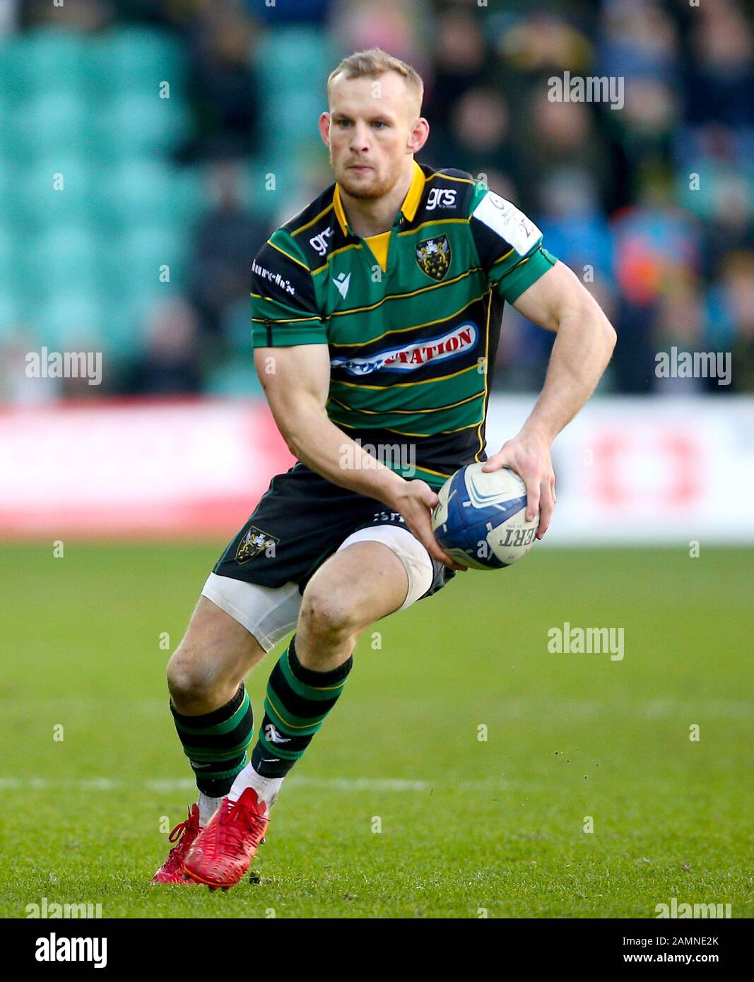 Northampton Saints' Rory Hutchinson Stock Photo - Alamy