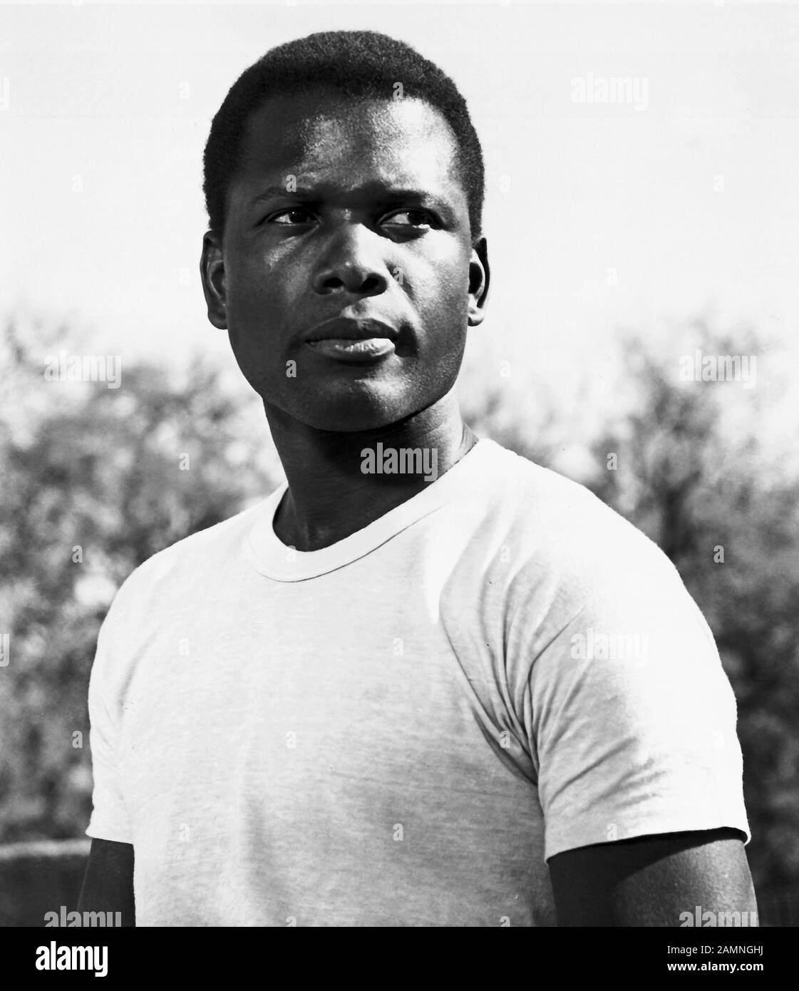 SIDNEY POITIER, LILIES OF THE FIELD, 1963 Stock Photo