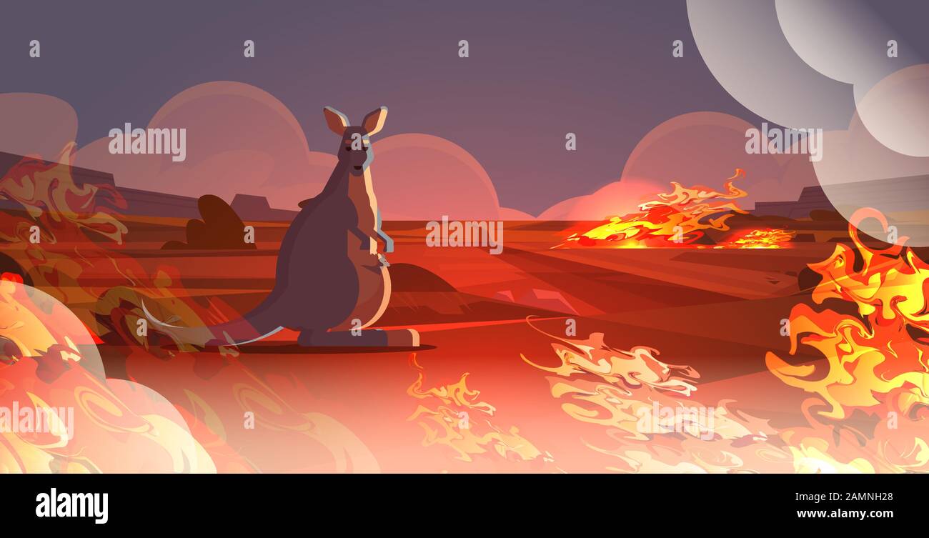 wallaby with baby escaping from fires in australia animals dying in wildfire bushfire natural disaster concept intense orange flames horizontal vector illustration Stock Vector