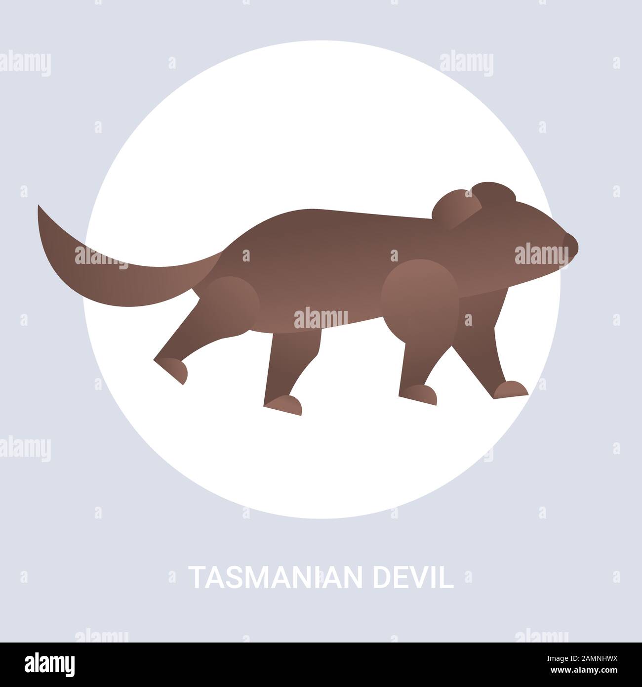 Tasmanian devil cartoon hi-res stock photography and images - Alamy