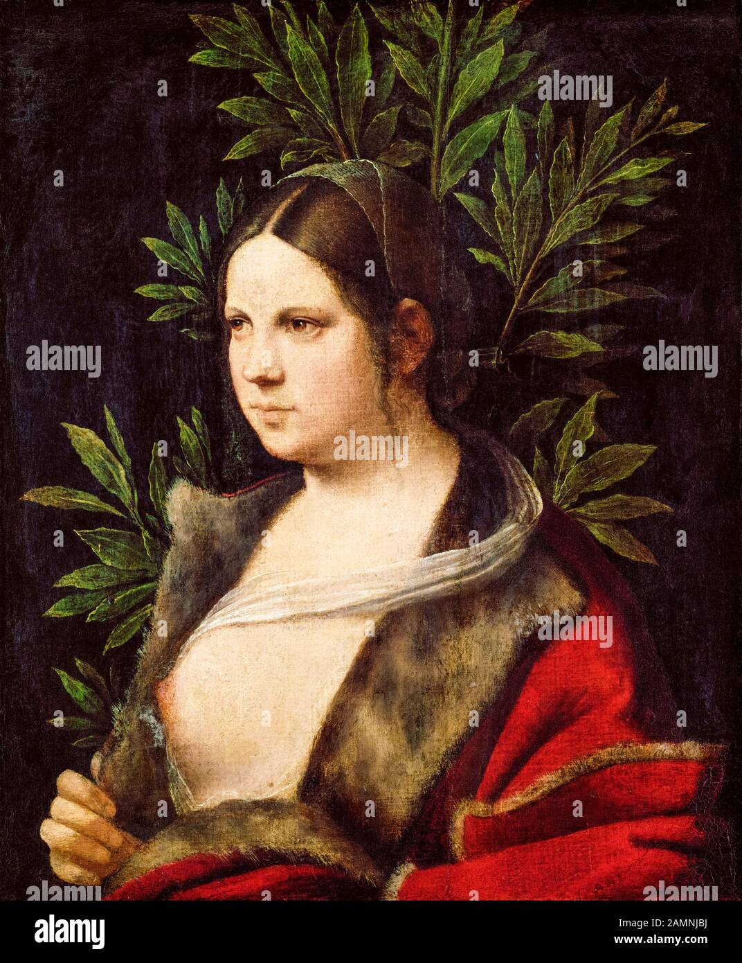 Giorgione, Young Woman (Laura), portrait painting, 1506 Stock Photo