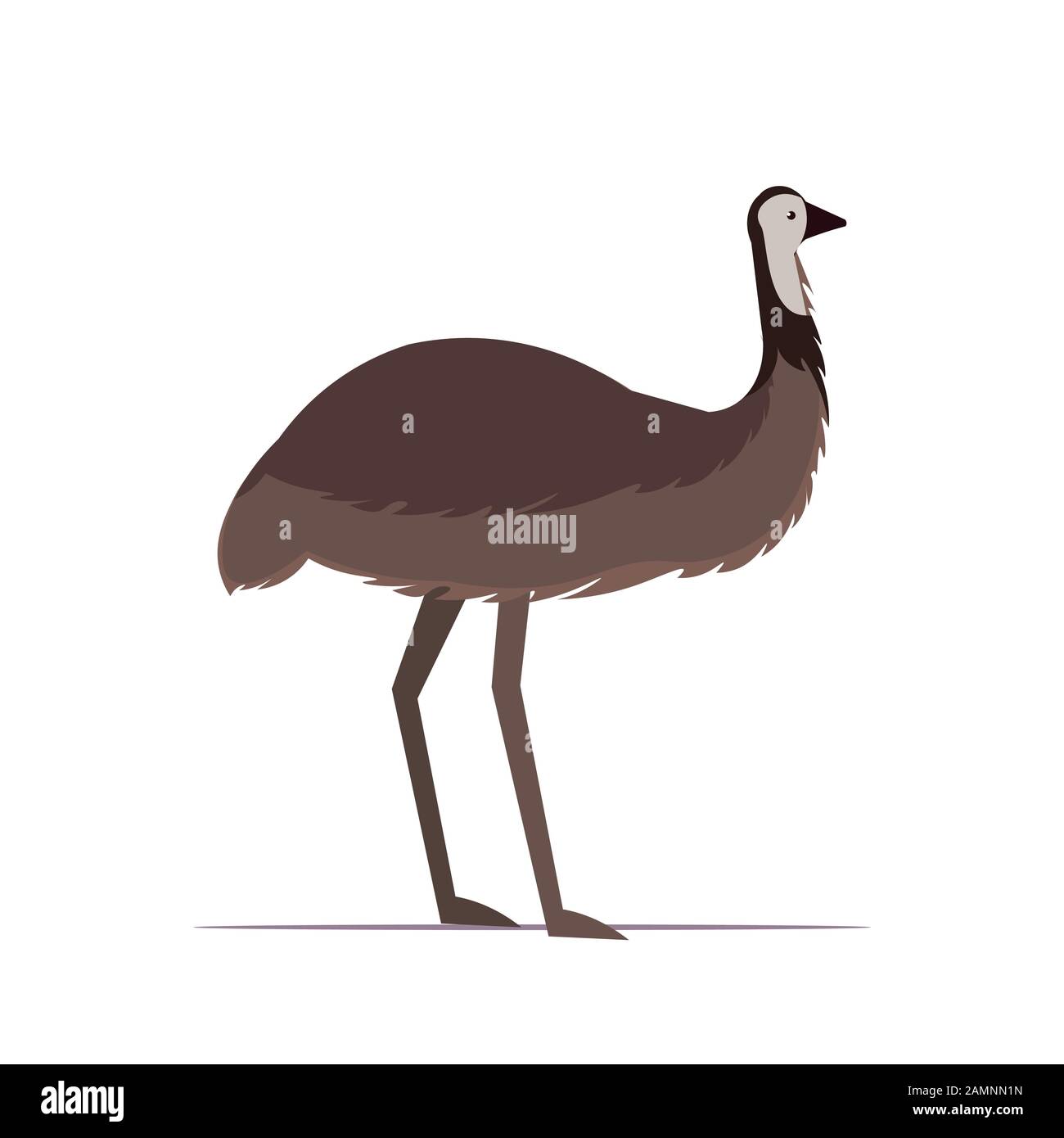 ostrich or emu icon cartoon endangered wild animal symbol wildlife species  fauna concept flat vector illustration Stock Vector Image & Art - Alamy