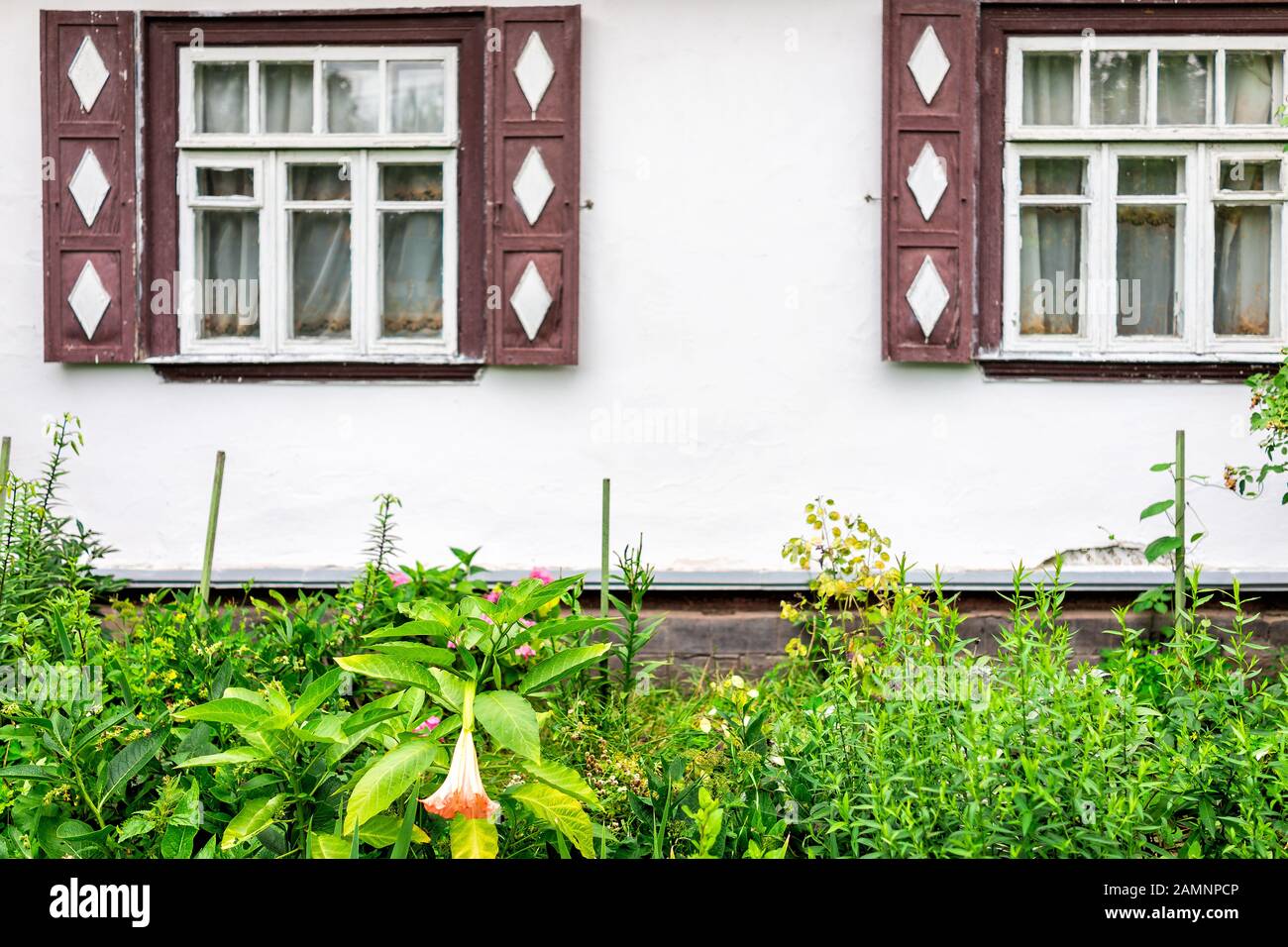 Rustic house home farm cottage dacha in Eastern Europe with traditional window shutters and flowers in garden Stock Photo