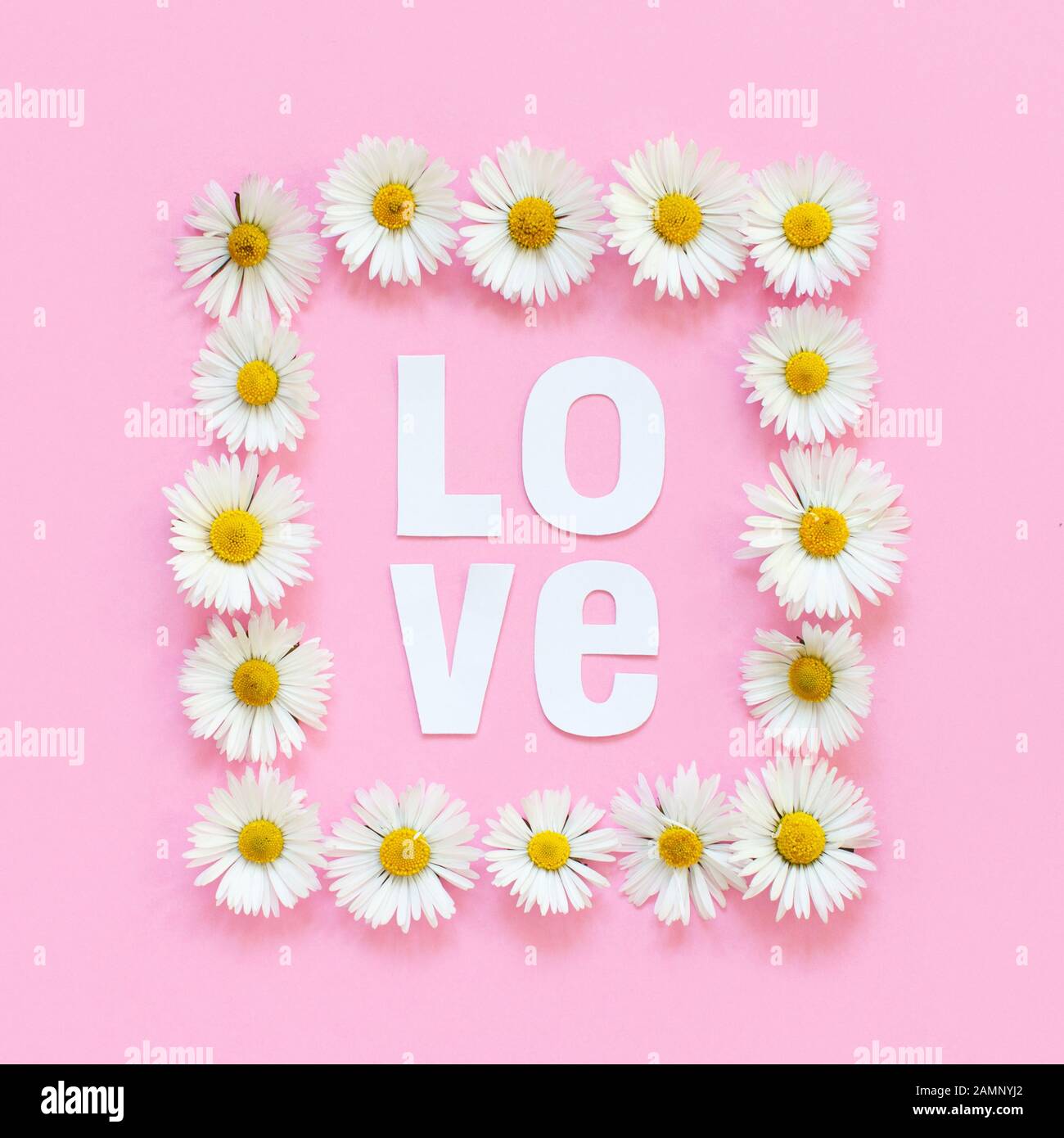Rectangular floral frame and text LOVE on a light pink background top view Stock Photo