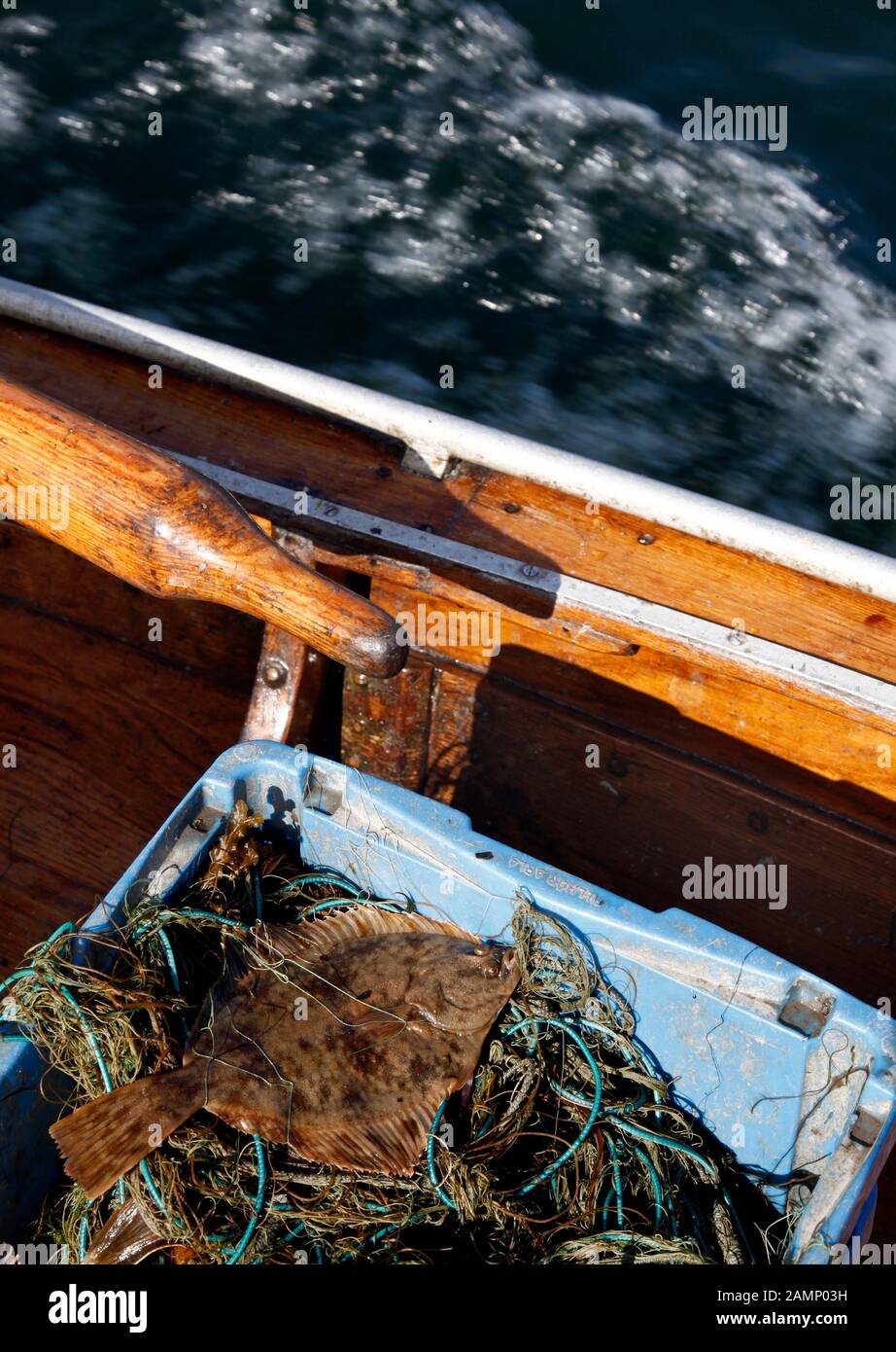 One Man Fishing Boat Returning Port Baltic Sea Stock Photo by ©Wirestock  488132964