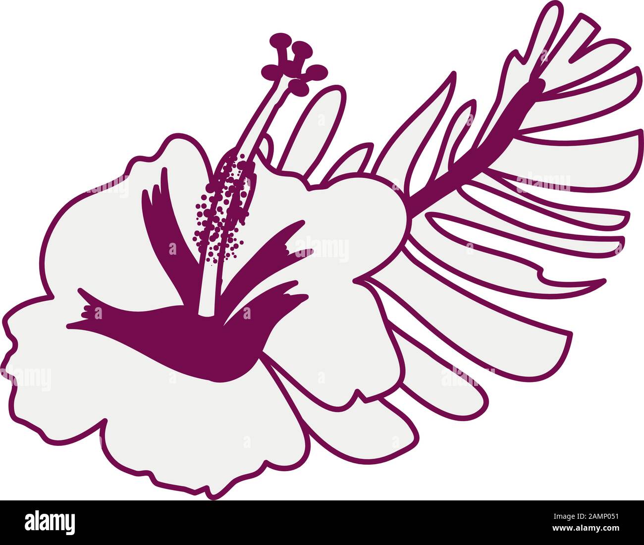 beautiful and tropical flower with leaf plant Stock Vector Image & Art ...