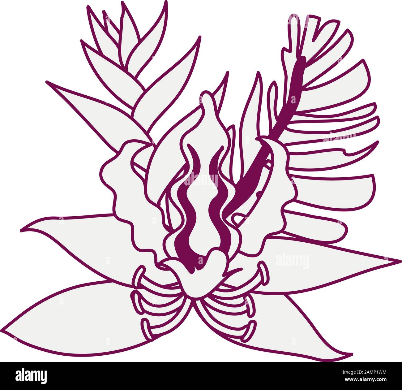 tropical heliconia and flower exotic plant Stock Vector Image & Art - Alamy