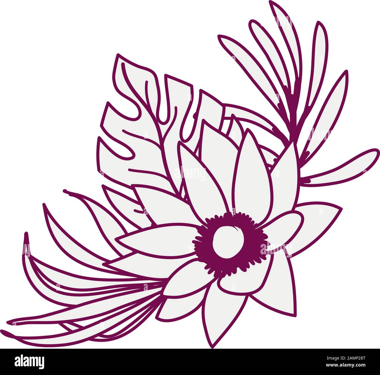 tropical heliconia and flower exotic plant Stock Vector Image & Art - Alamy