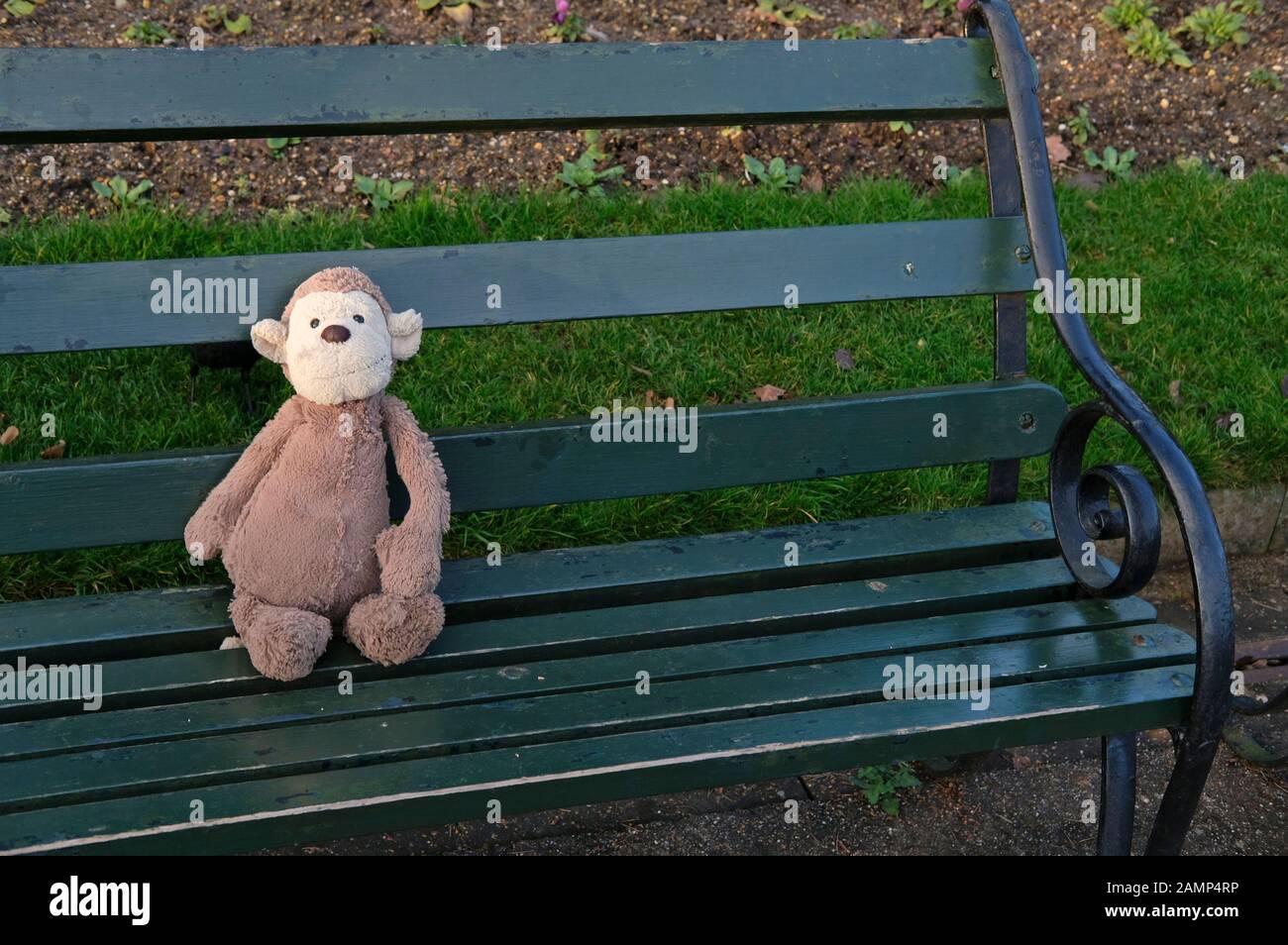 A lost teddy bear on a bench Stock Photo - Alamy