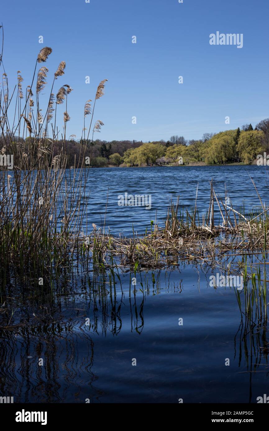 Rural day hi-res stock photography and images - Alamy