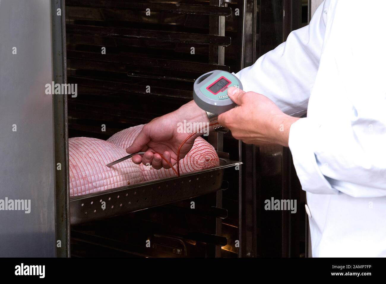 Thermometer food meat temperature hi-res stock photography and images -  Alamy