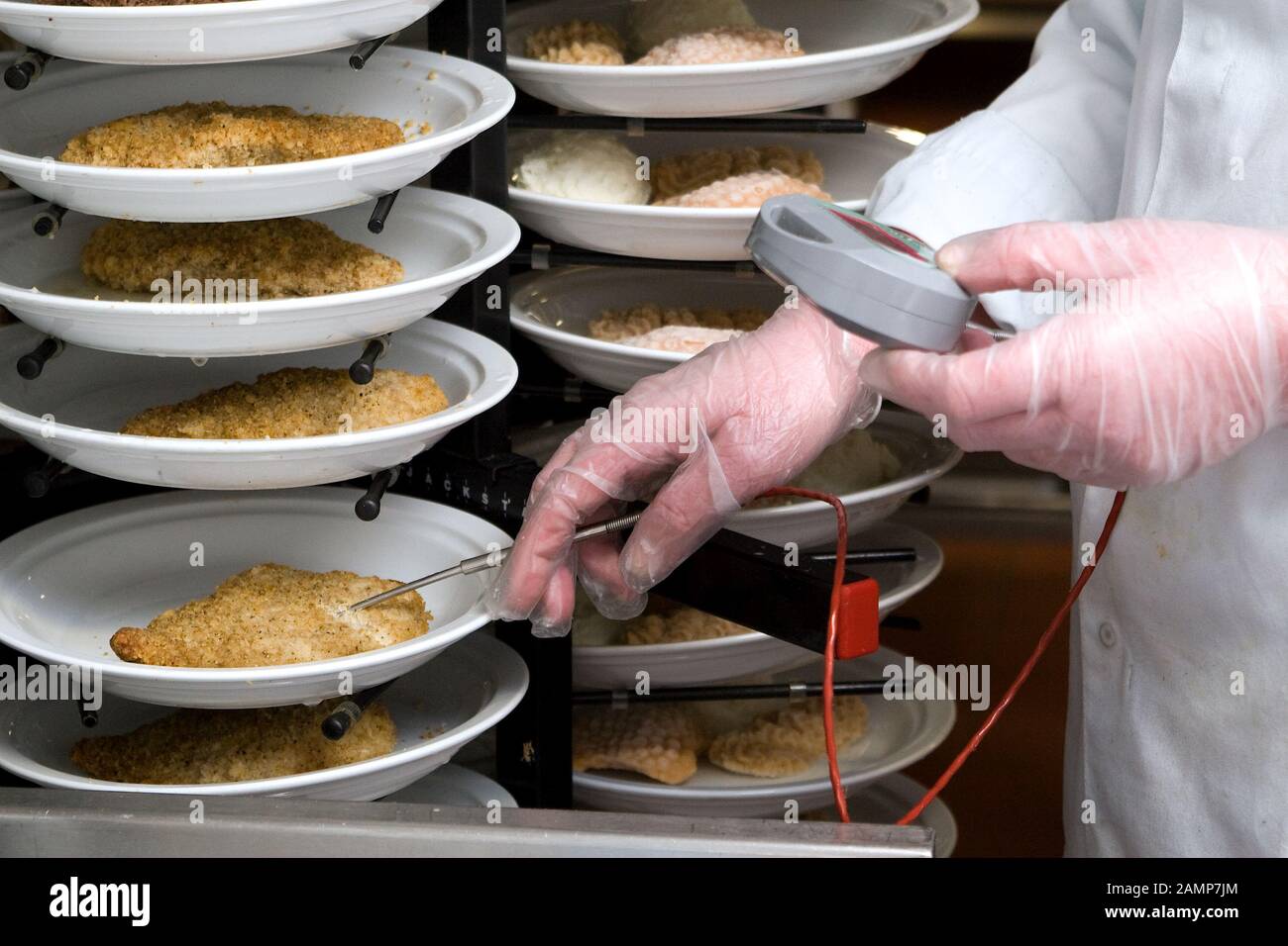 Food safety inspector using a probe thermometer to measure the temperature of food. Stock Photo