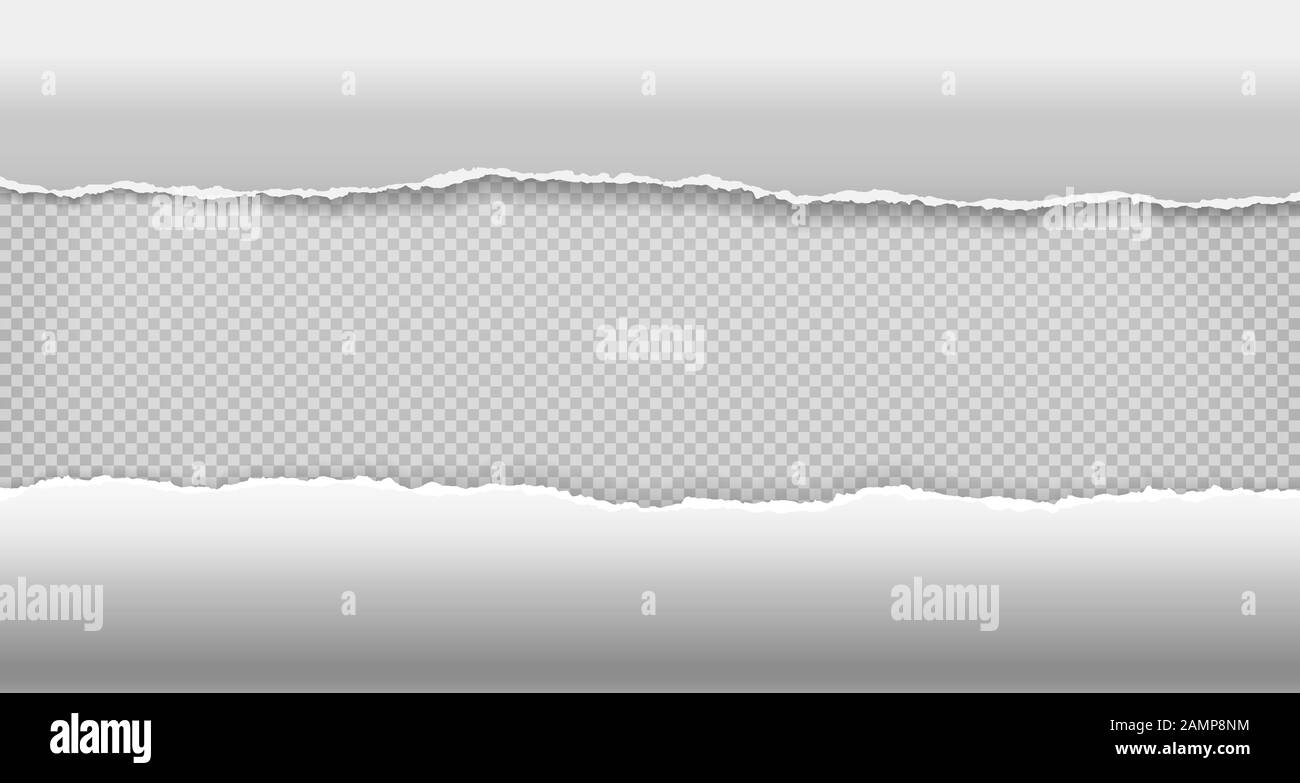 Torn, ripped and curled pieces of horizontal white paper with soft ...