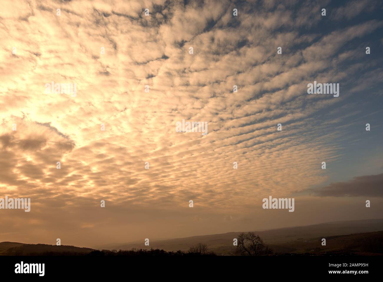Mackerel back sky hires stock photography and images Alamy