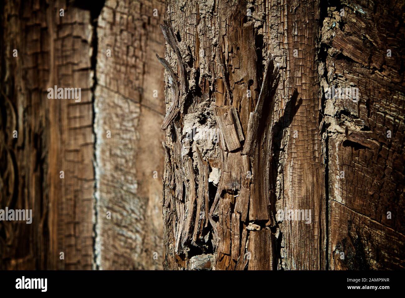 Weathered wood grunge background texture. Stock Photo