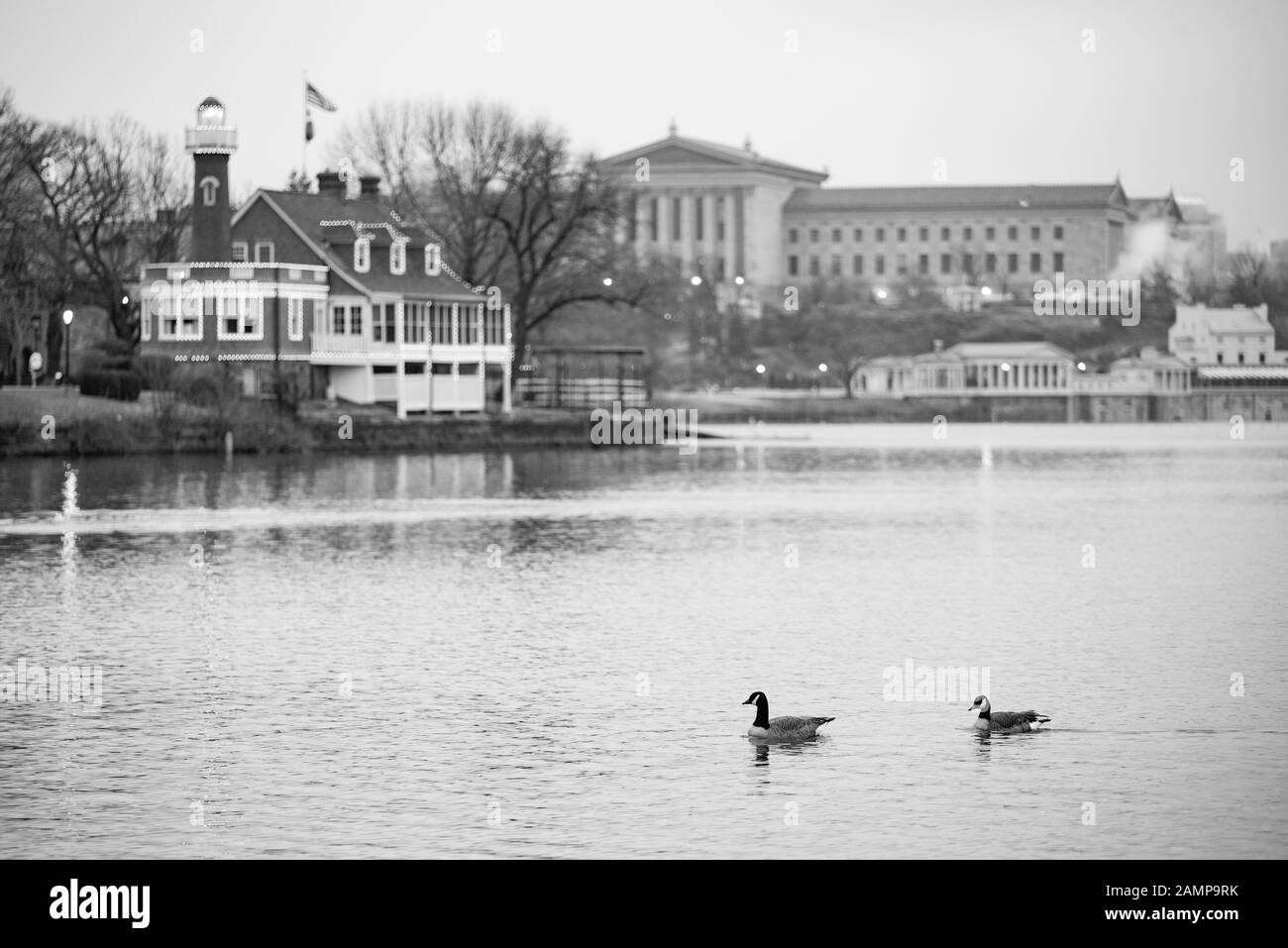 A black and white photo of two ducks swimming on a river with an illuminated boathouse and the Philadelphia Museum of Art in the background. Stock Photo